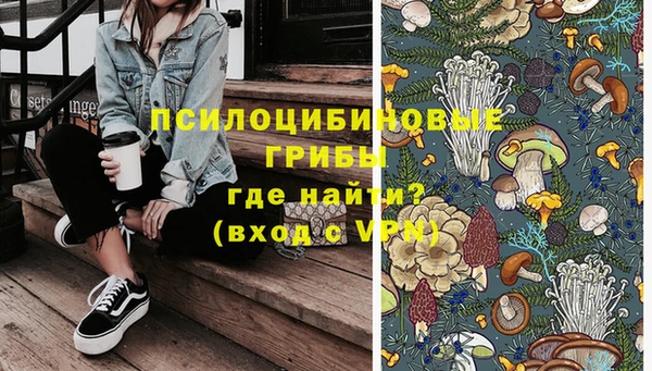 гидра Кукмор