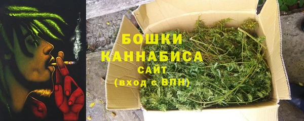 сатива Краснослободск