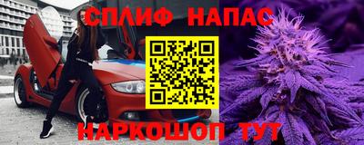 стаф Кандалакша
