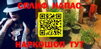 шишки Канаш