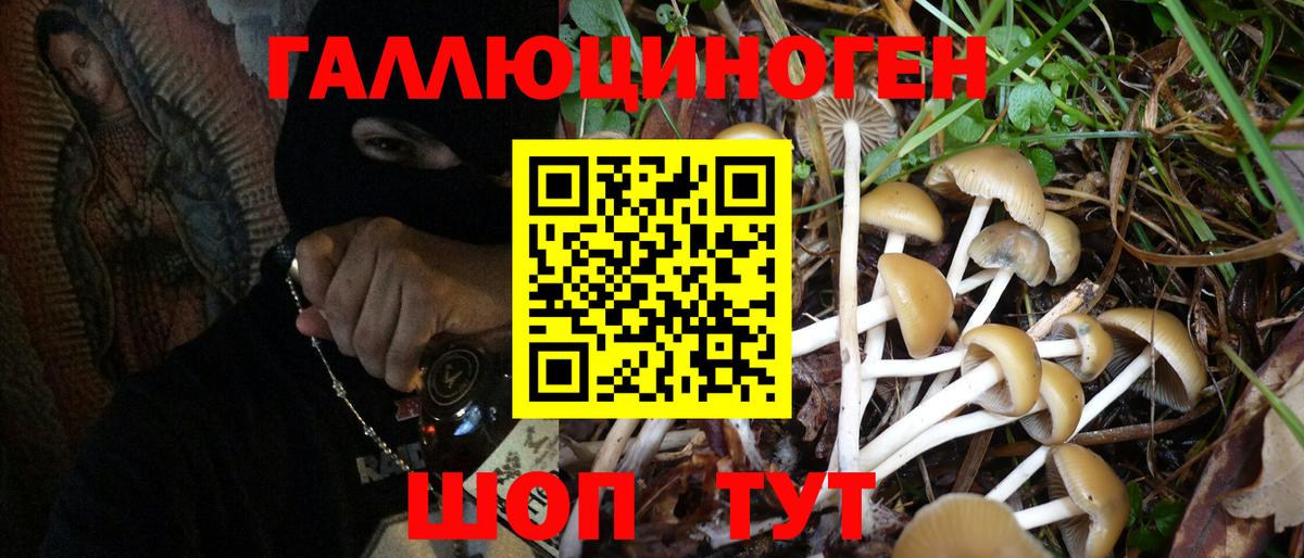 Галлюциногенные грибы мухоморы Строитель