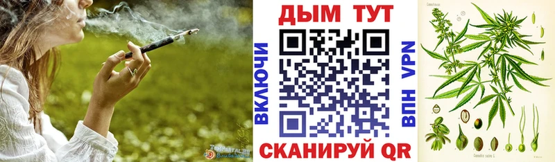Шишки марихуана семена  гидра как войти  Строитель 